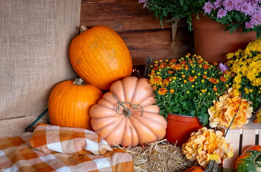 Kids Harvest Brunch