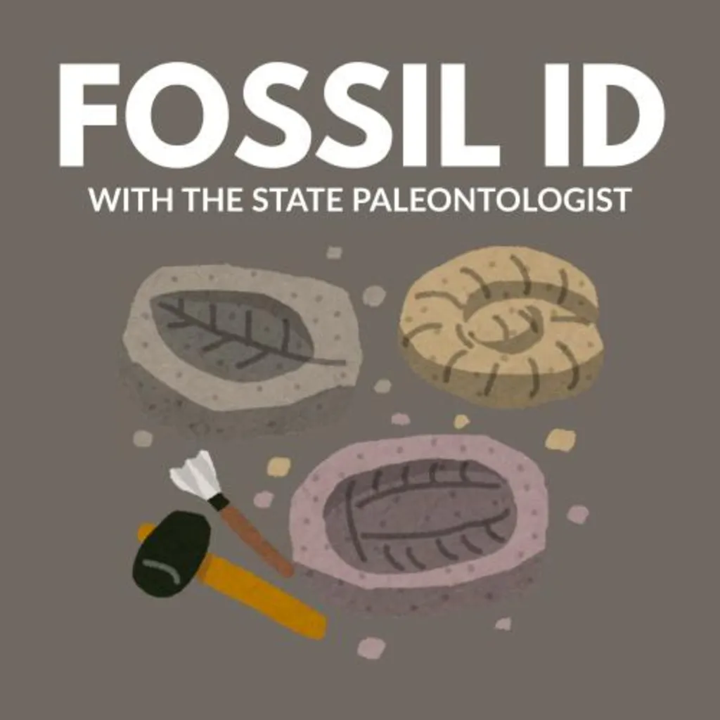 Fossil ID with the State Paleontologist