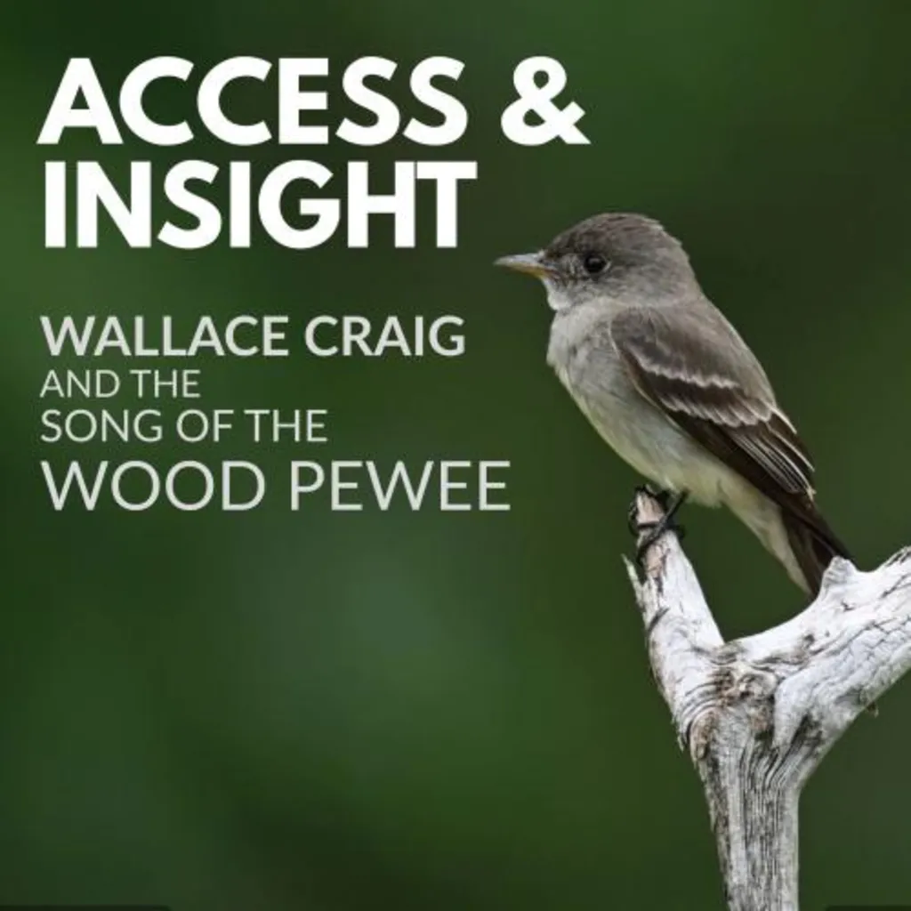 Access and Insight: Wallace Craig and the song of the Wood Pewee