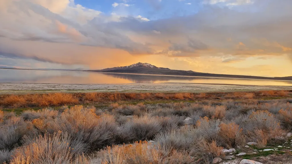 Bird Walk at Fielding Garr Ranch