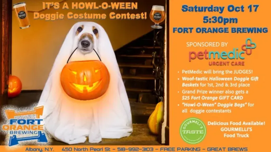 Doggie Halloween costume contest 🐩🐕