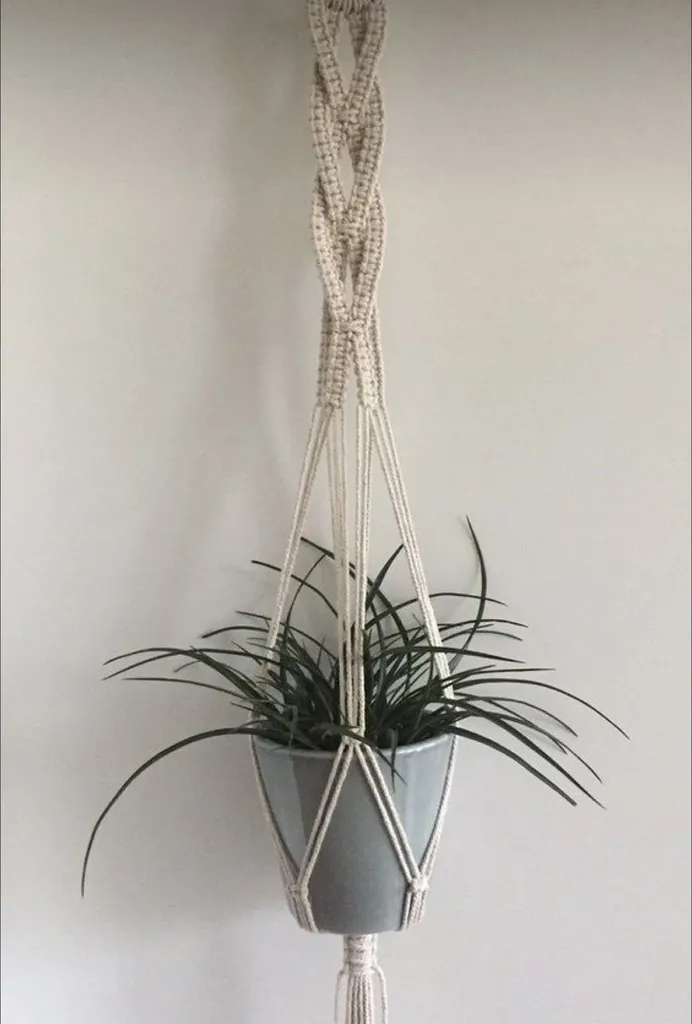 Macramé Plant Hanger Workshop