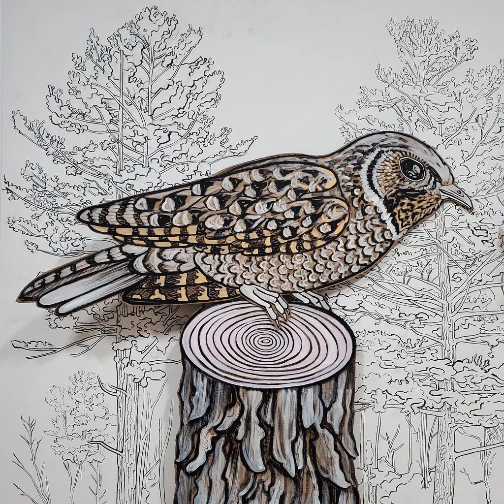 Heidi Jensen Artist Talk