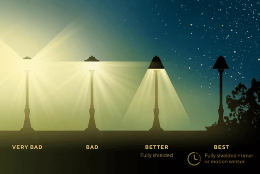 Seeking the Stars: Light Pollution and Its Impact (for everyone)