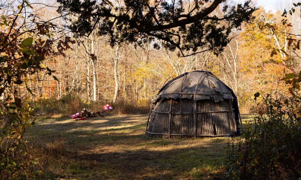 Natural and Native Crafts (for families, Ages 8+)
