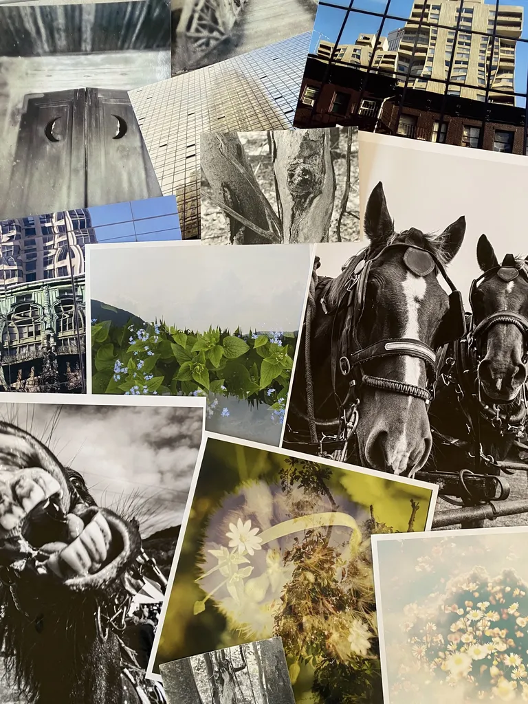 Artist Reception for 2026 Community Photo Show
