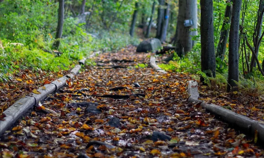 Hit the Trails: Daylight Savings Hike (for everyone ages 8+)