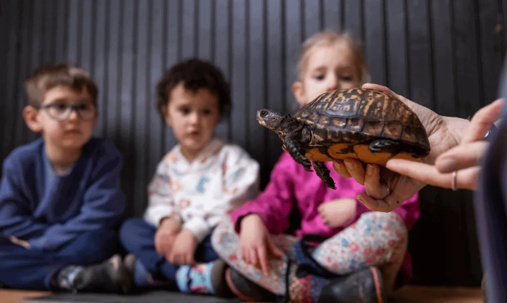 Hudson Valley Wildlife at the Ardsley Public Library (for families)