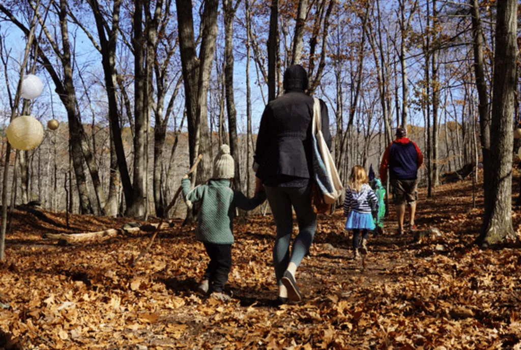 Environmental Art: Fall Foliage (for families, ages 4+)
