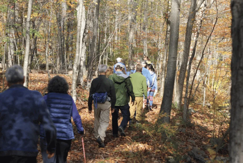 Hit the Trails: Thanksgiving Hike (ages 12+)
