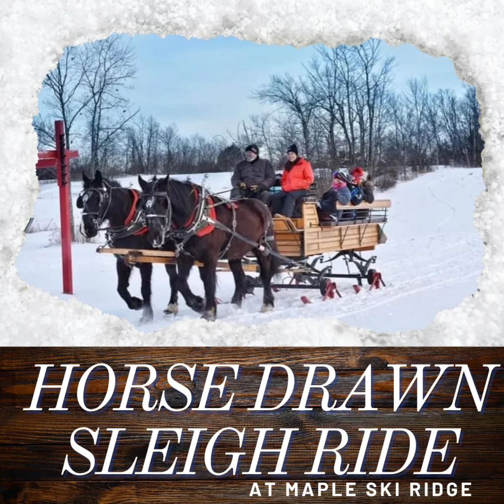 Horse Drawn Sleigh Rides 1.17.27