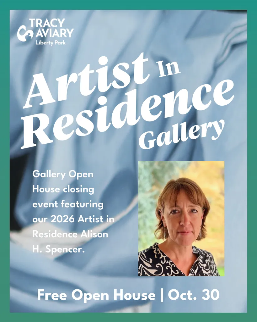Artist in Residence Gallery