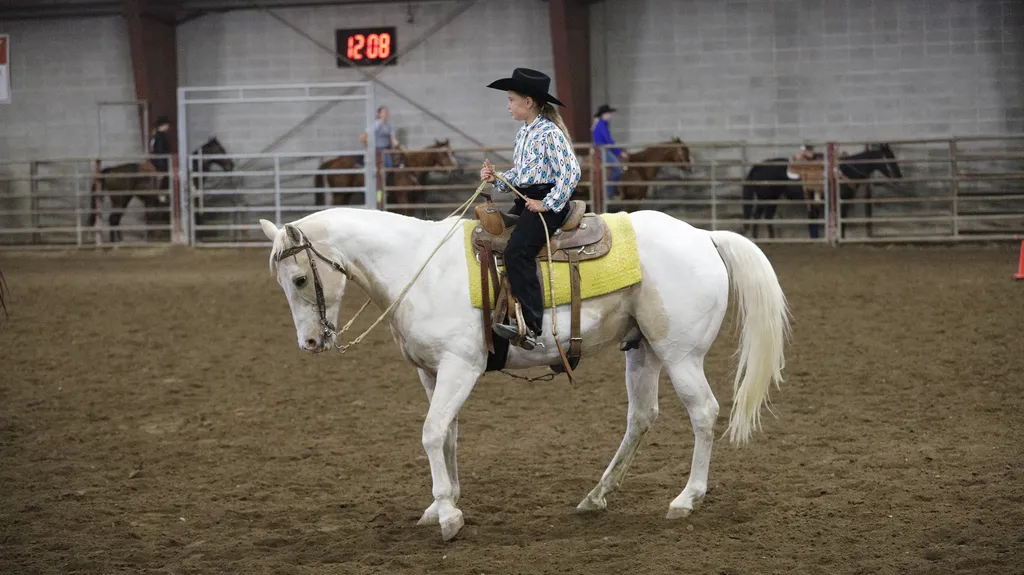 Hairy Horse Show