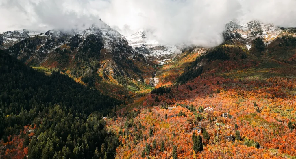 Fall Foliage ZipTour