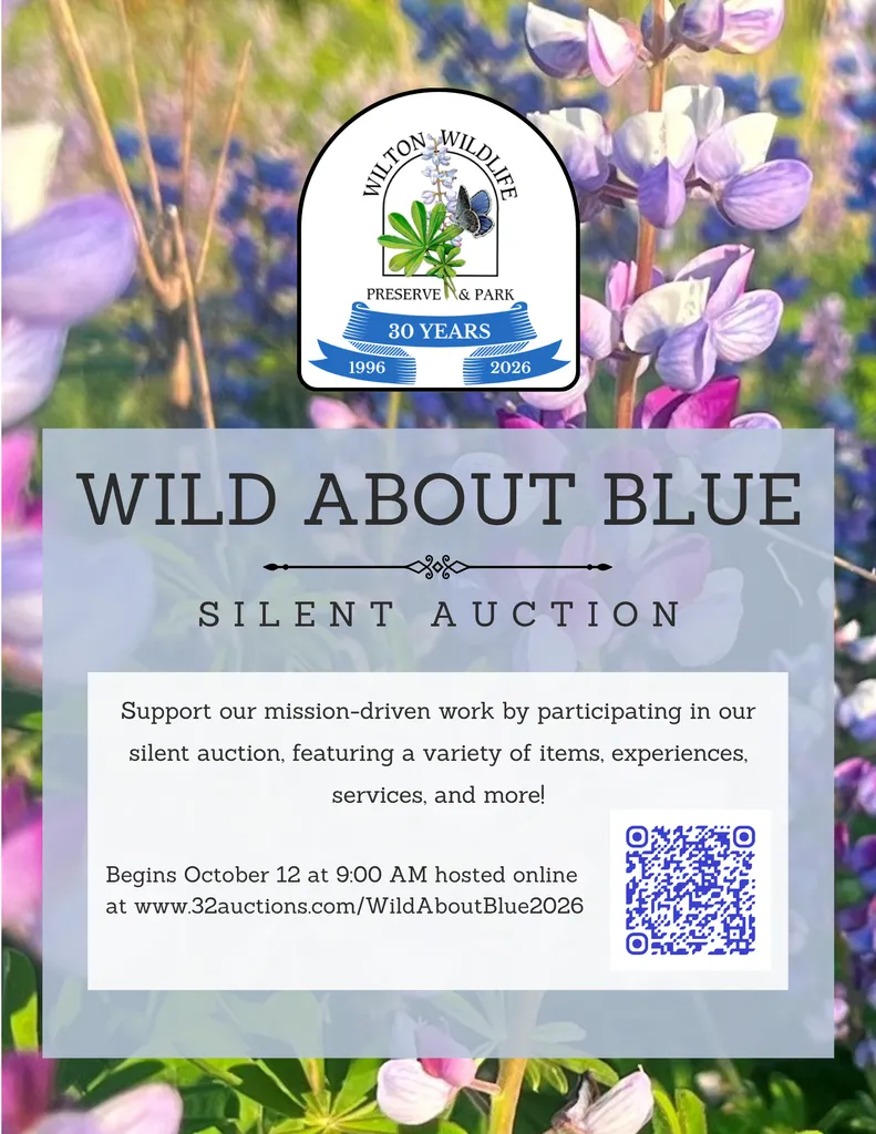 Wild About Blue Silent Auction Opens!