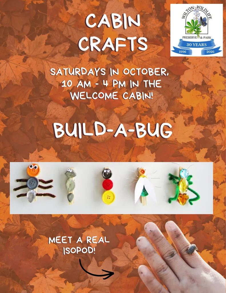 Cabin Crafts | Build-A-Bug!