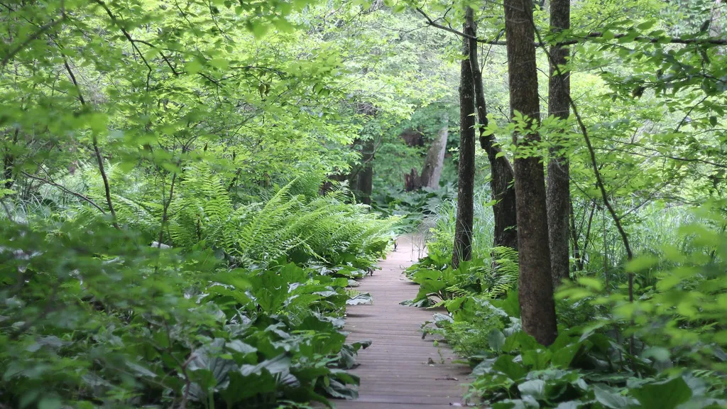 Women Take to the Trails