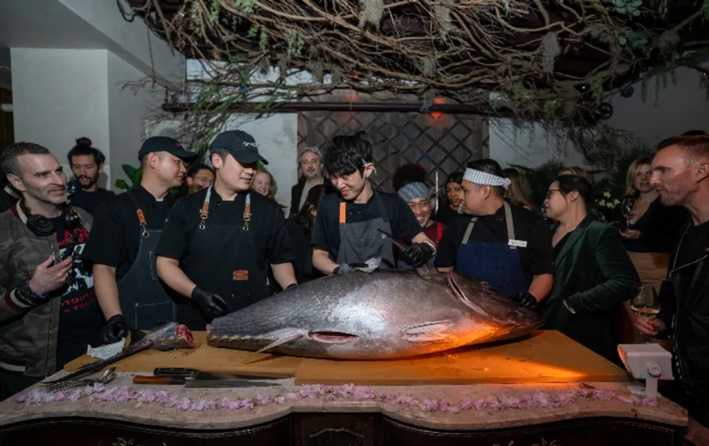 Tuna Spectacle 10/27