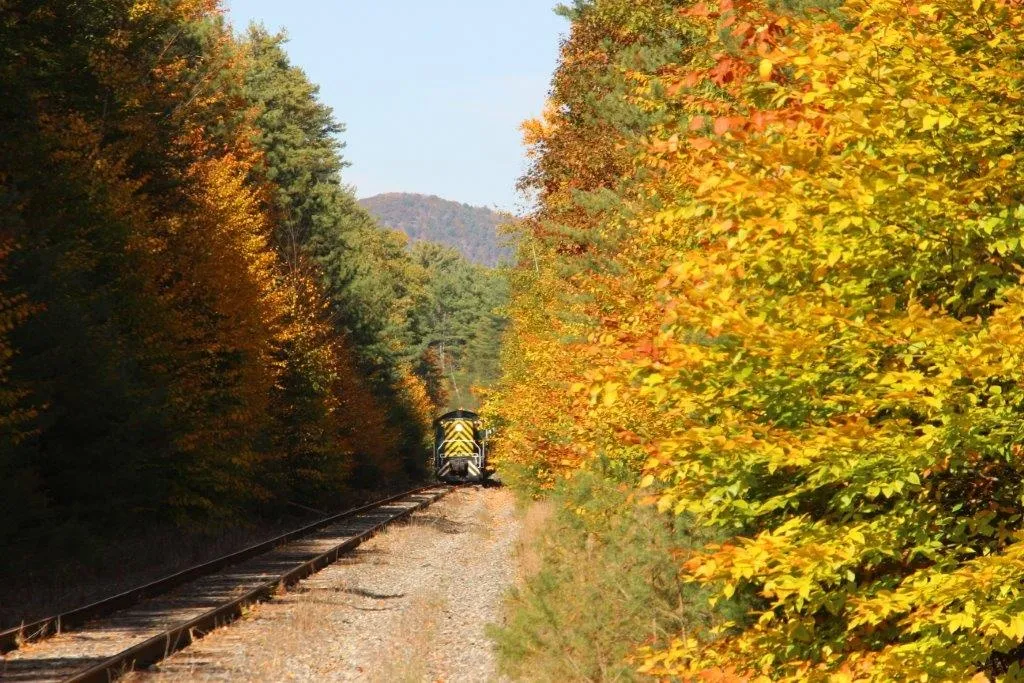 Autumn Explorer