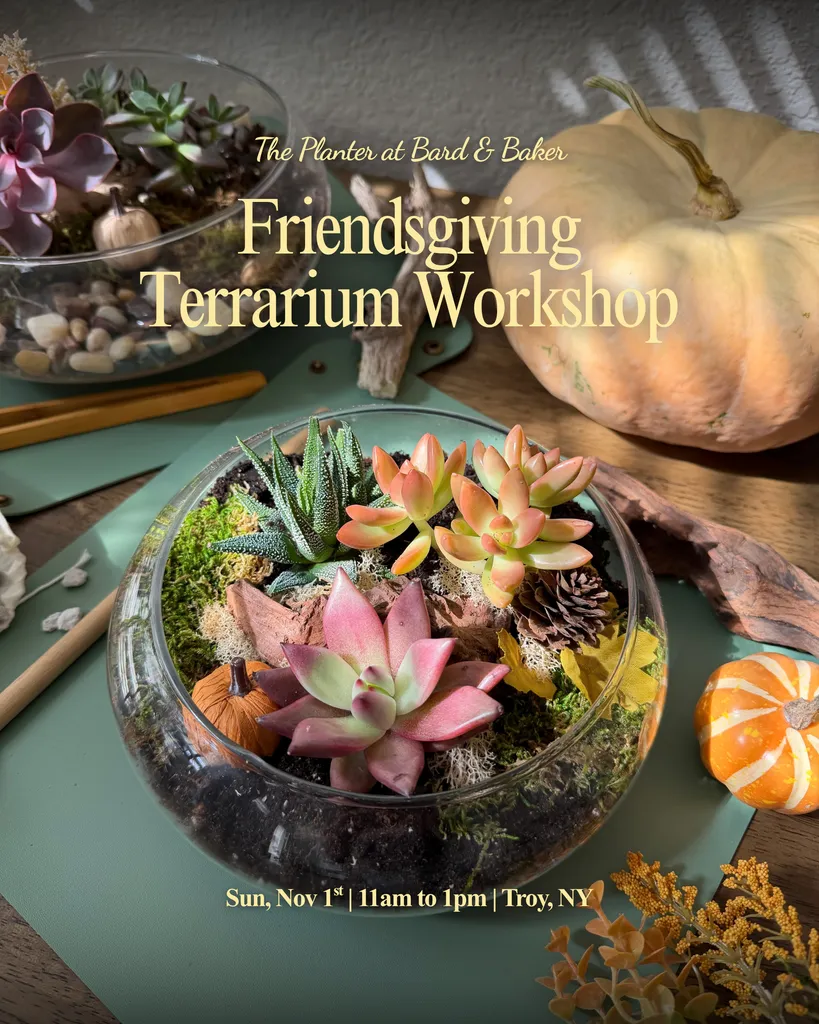 Friendsgiving : Succulent Terrarium Workshop