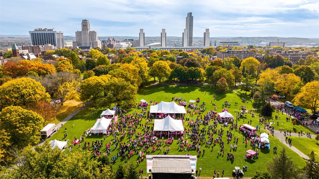 Making Strides of Albany
