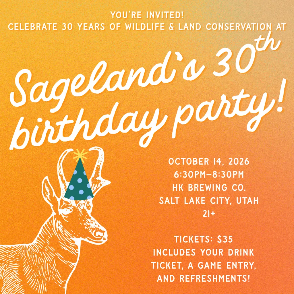 Sageland Collaborative’s 30th Birthday Party
