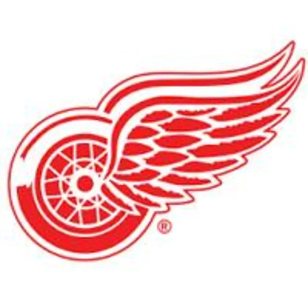 Adirondack Red Wings Collection on Display