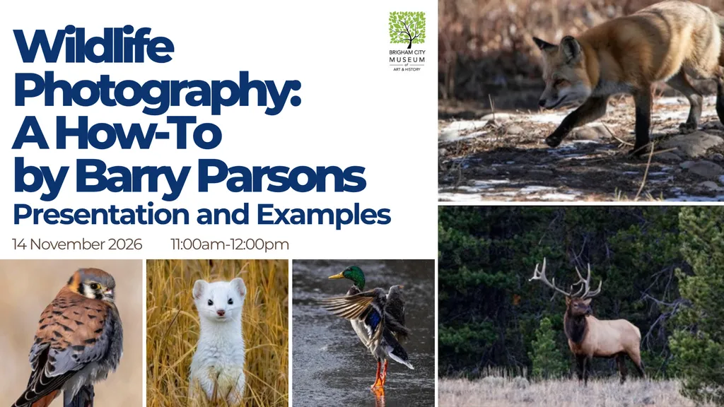 Wildlife Photography: A How-To by Barry Parsons