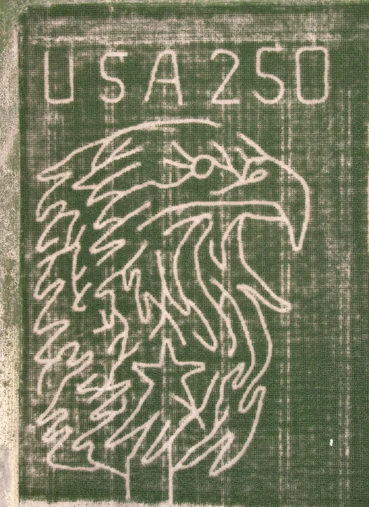 Glen Ray’s Corn Maze & Pumpkin Patch