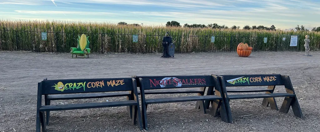 Crazy Corn Maze