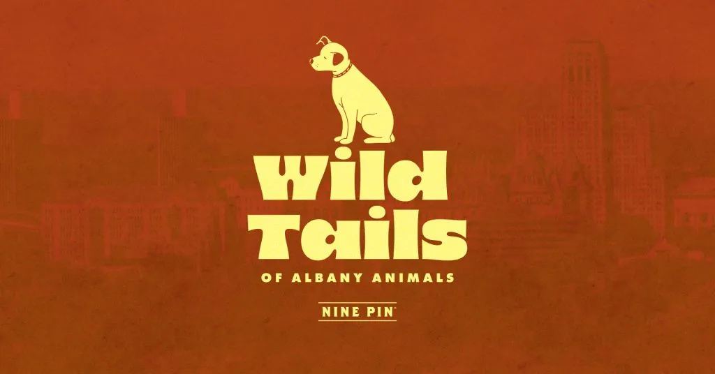 Wild Tails of Albany Animals