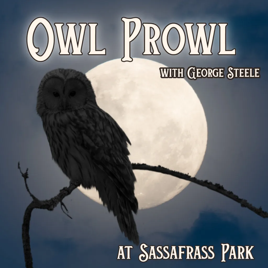 Owl Prowl with George Steele