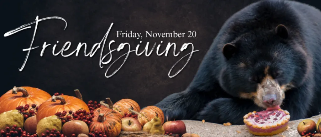 Friendsgiving