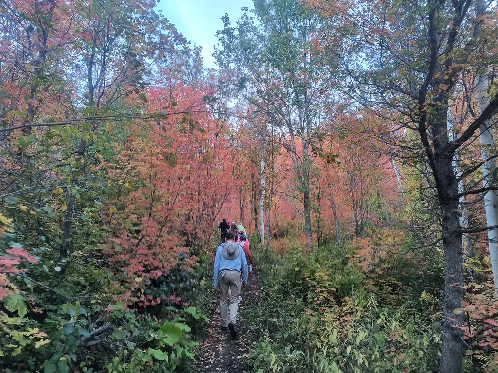 Fall Hike at Boulderdash & Wow Loop