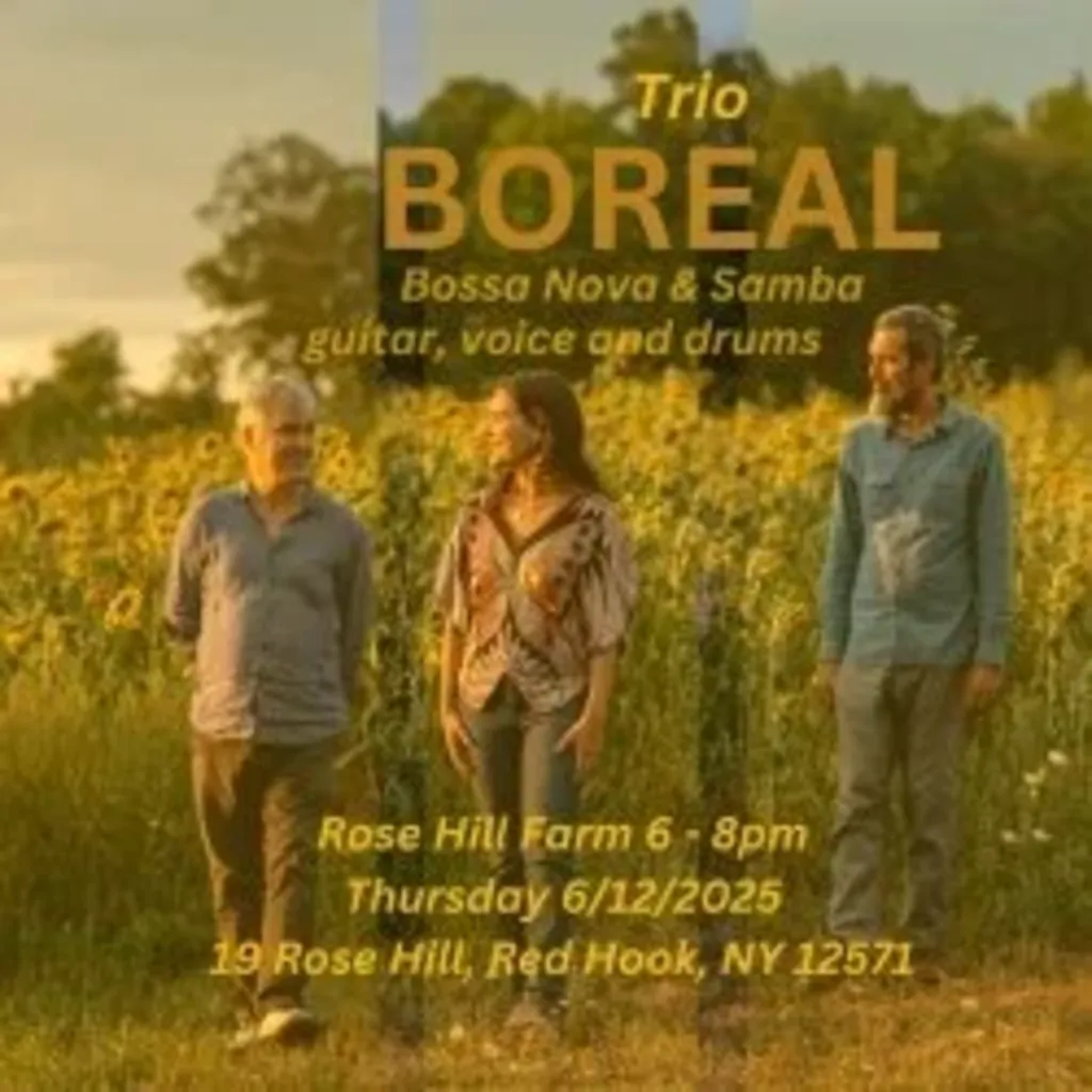 Misto Burger Night & Live Brazilian Music