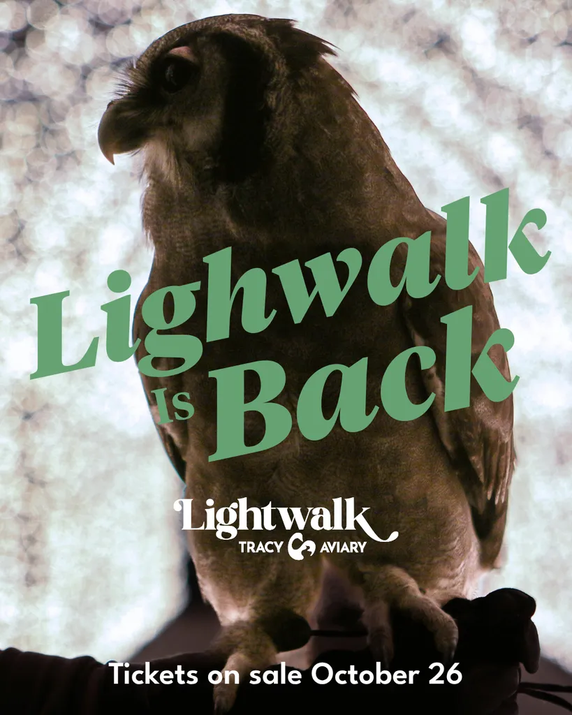 Lightwalk Begins!