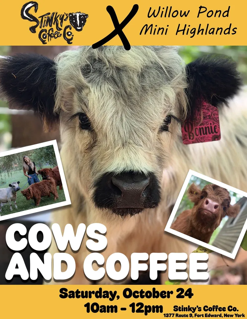 Cows and Coffee