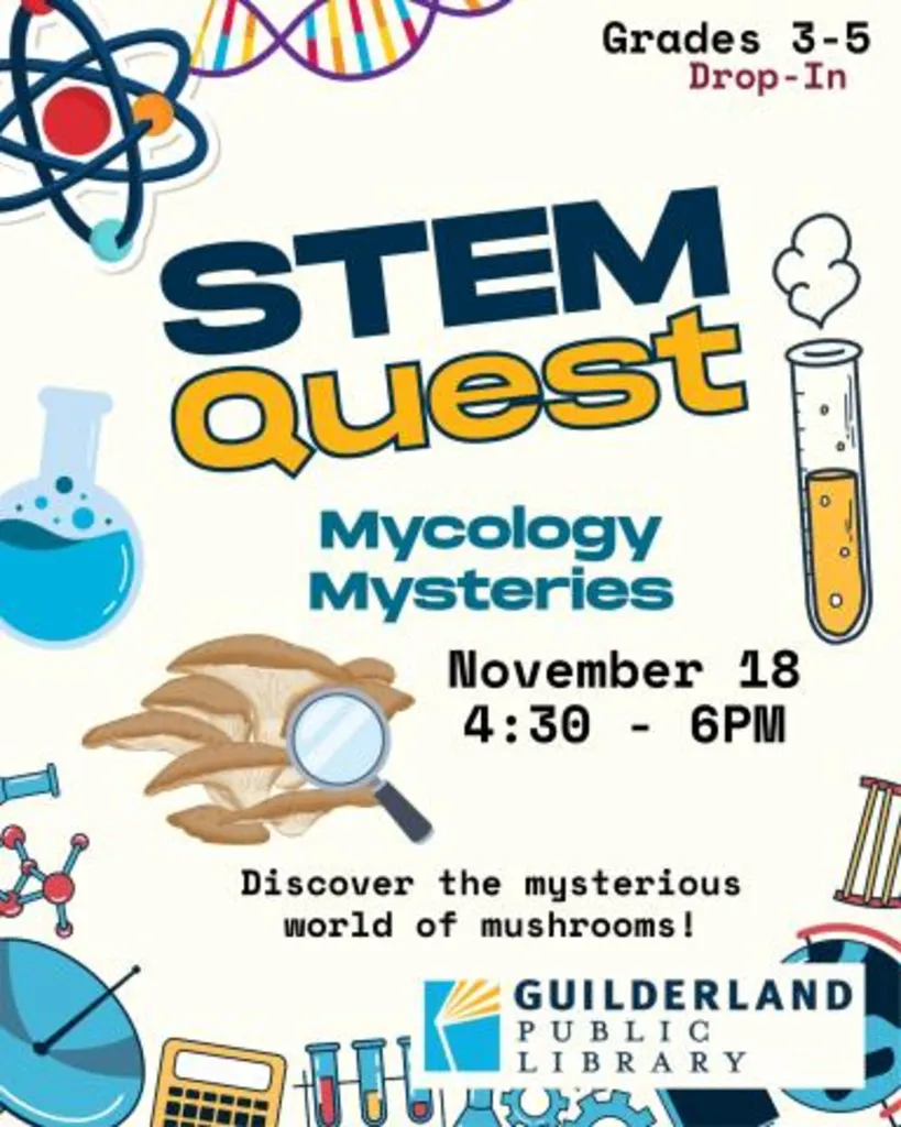 STEM Quest: Mycology Mysteries