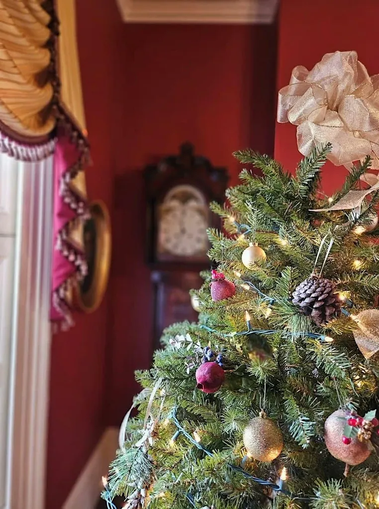 Holiday House First Look: Candlelight Mansion Tours & Reception