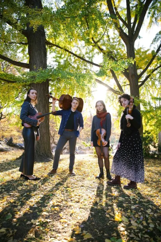 Family Concert: NYS Baroque In-Person