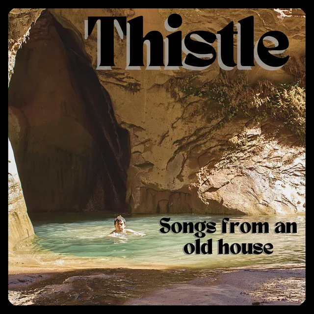Thistle