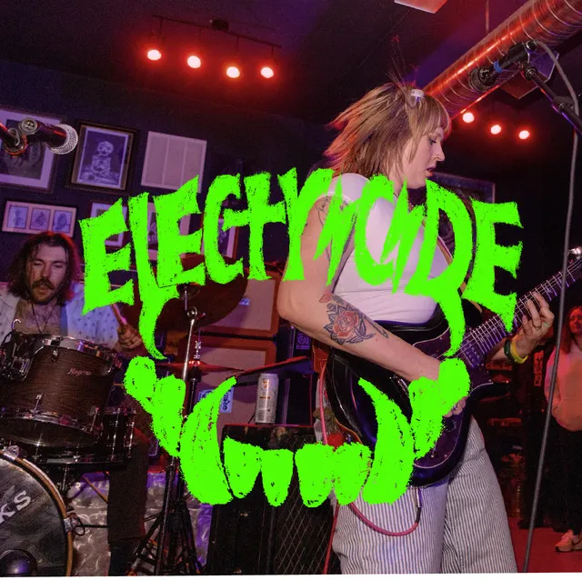 Electricide