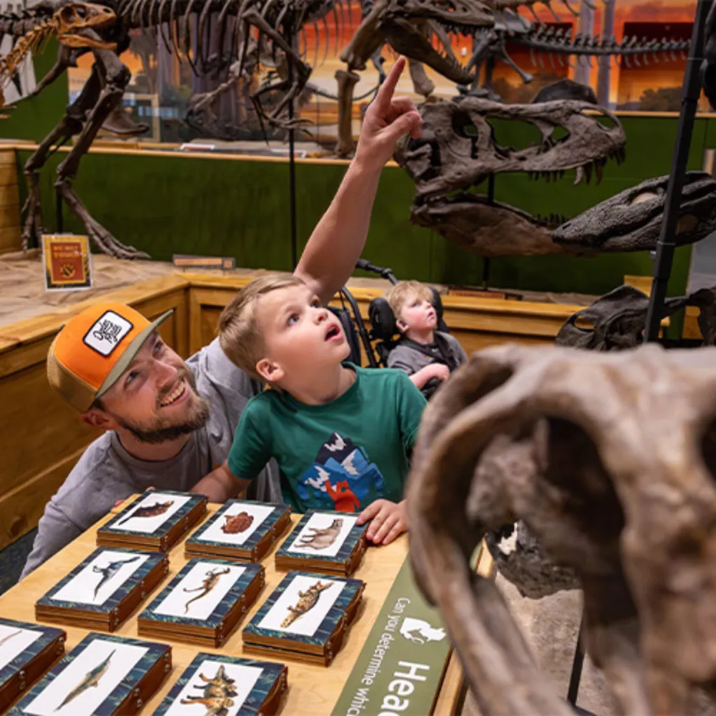 Ogden Dinosaur Park
