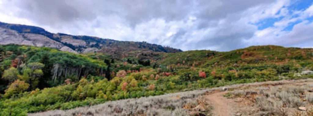 North Fork Park