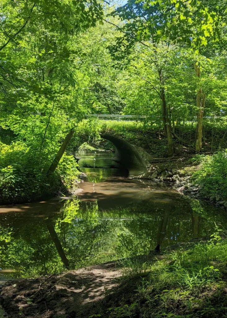 Indian Kill Nature Preserve