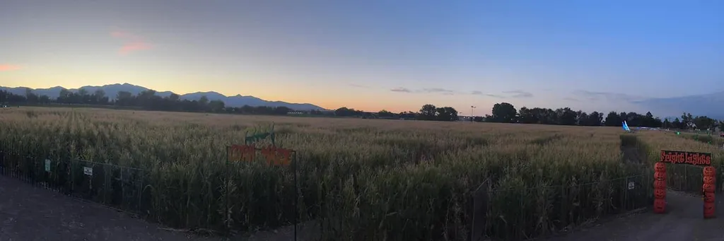 The Crazy Corn Maze & Fright Lights